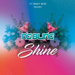 Cover of Shine