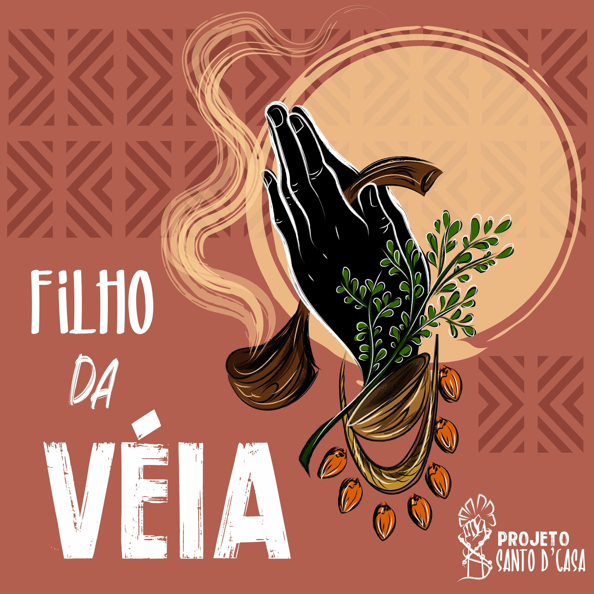 Album cover of Filho da Véia