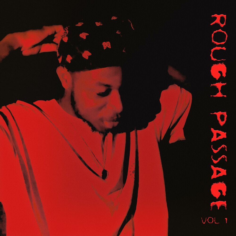Picture of Rough Passage, Vol. 1
