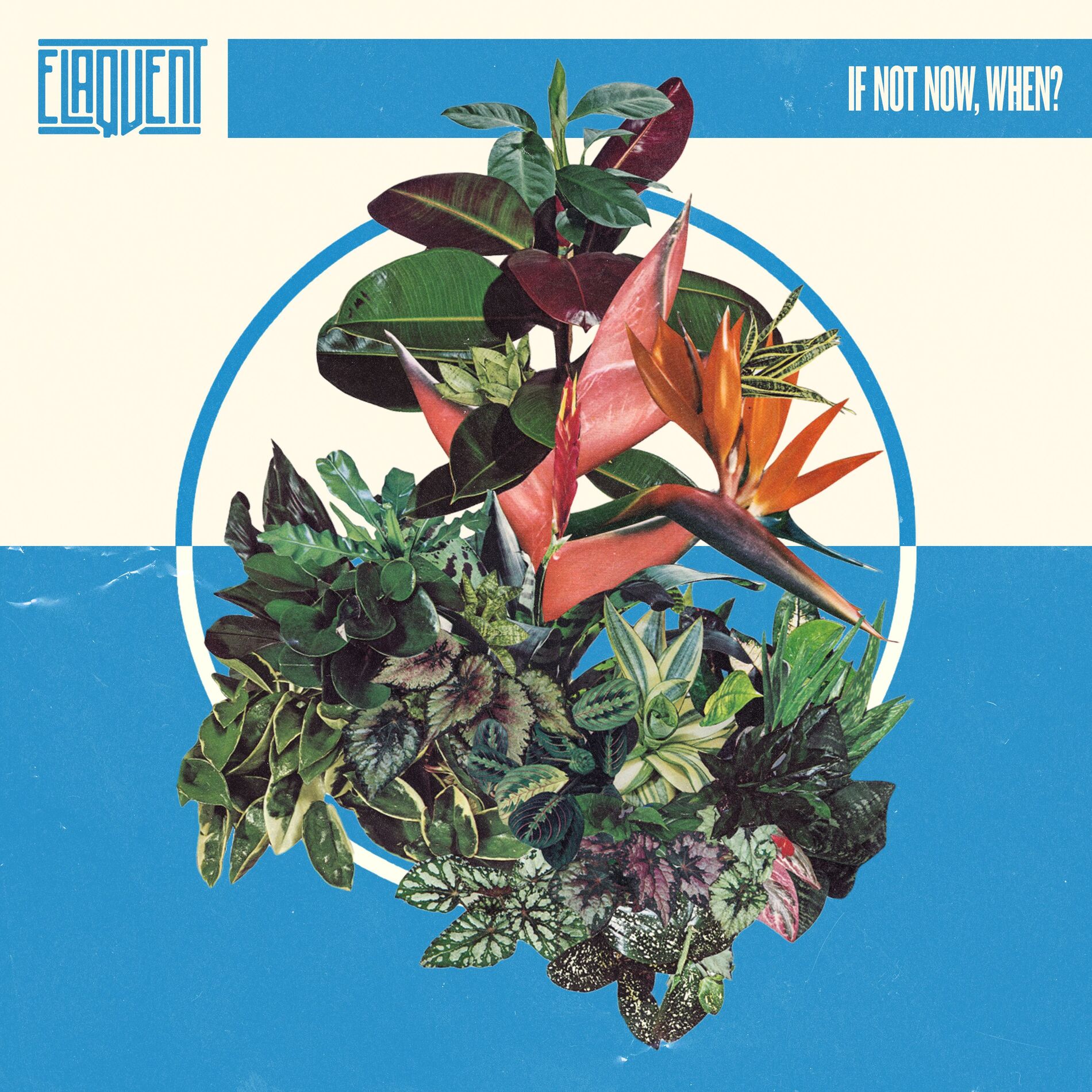 Album cover of If Not Now, When?