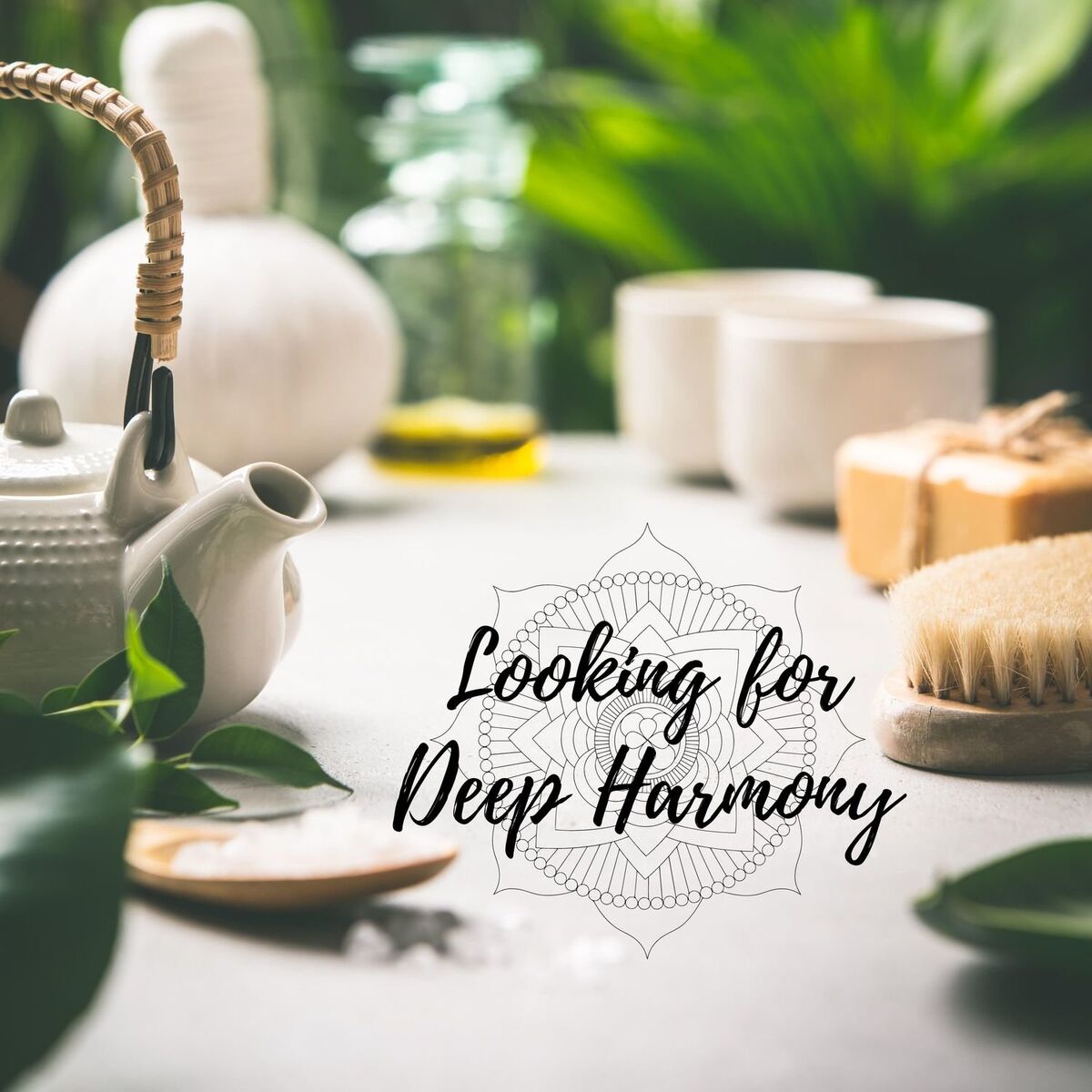 Album cover of Looking for Deep Harmony