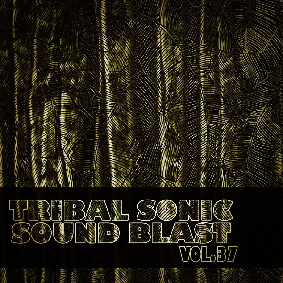 Album cover of Tribal Sonic Soundblast,Vol.37