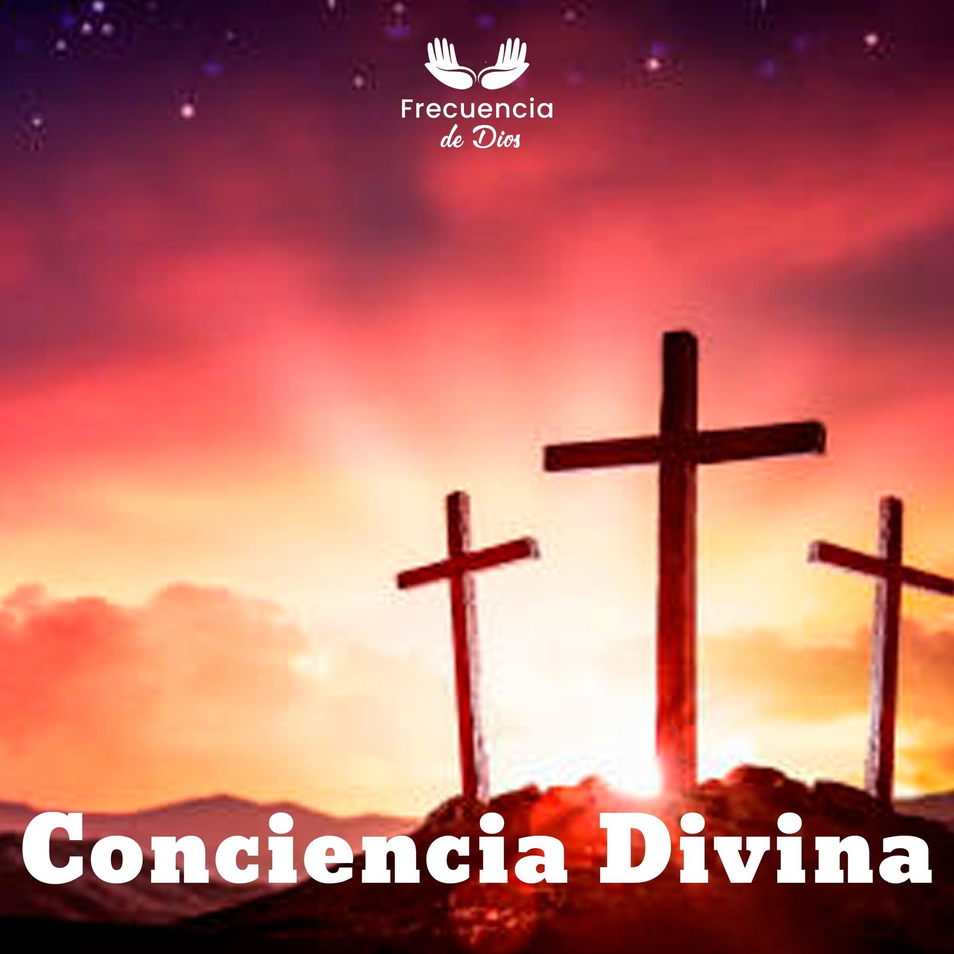 Album cover of Conciencia Divina, Pt. 6