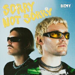 Cover of Sorry not Sorry