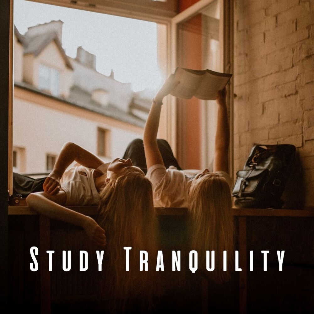 Picture of Study Tranquility: Guiding with Meditation Music