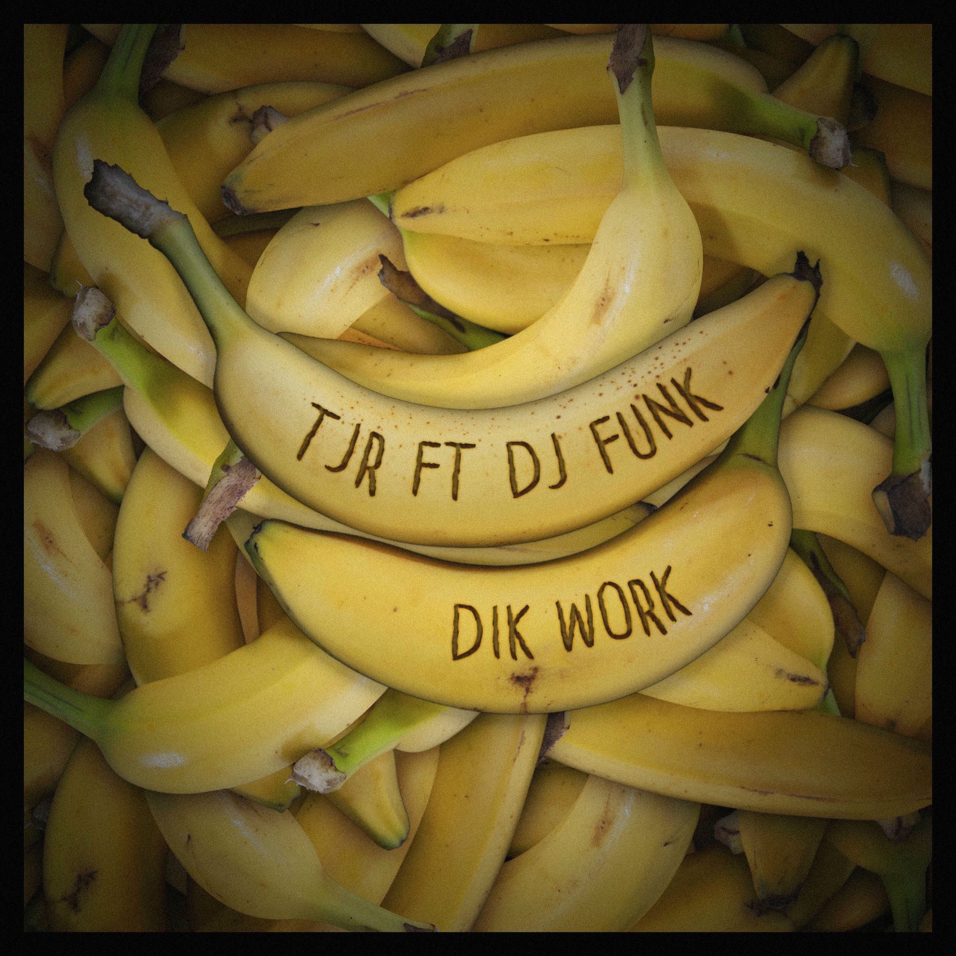 Album cover of Dik Work (feat. DJ Funk)