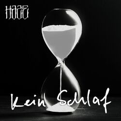 Cover of Kein Schlaf