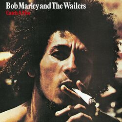 Cover of Catch A Fire (50th Anniversary)