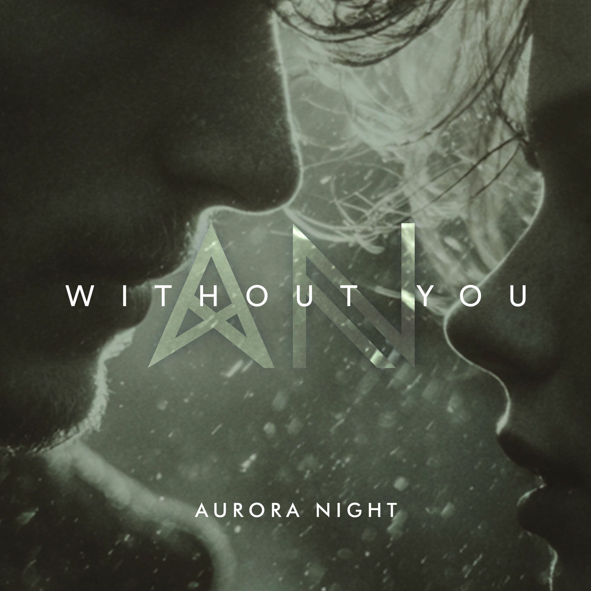 Album cover of Without You