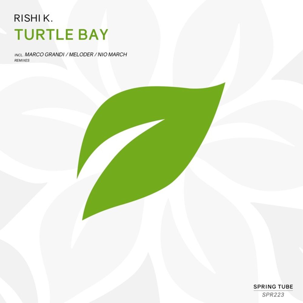 Picture of Turtle Bay
