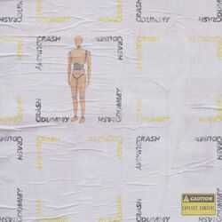 Cover of Crash Dummy