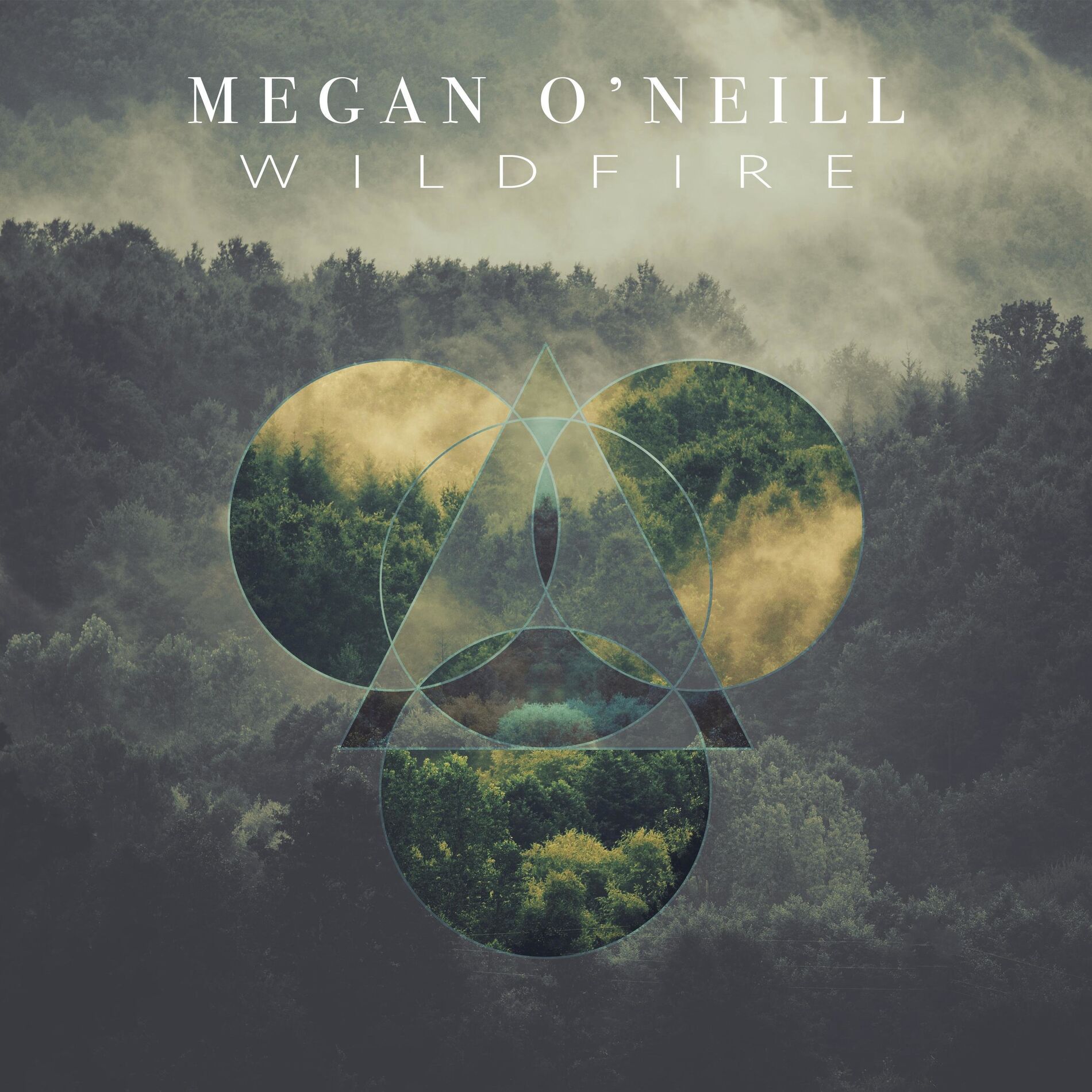 Album cover of Wildfire