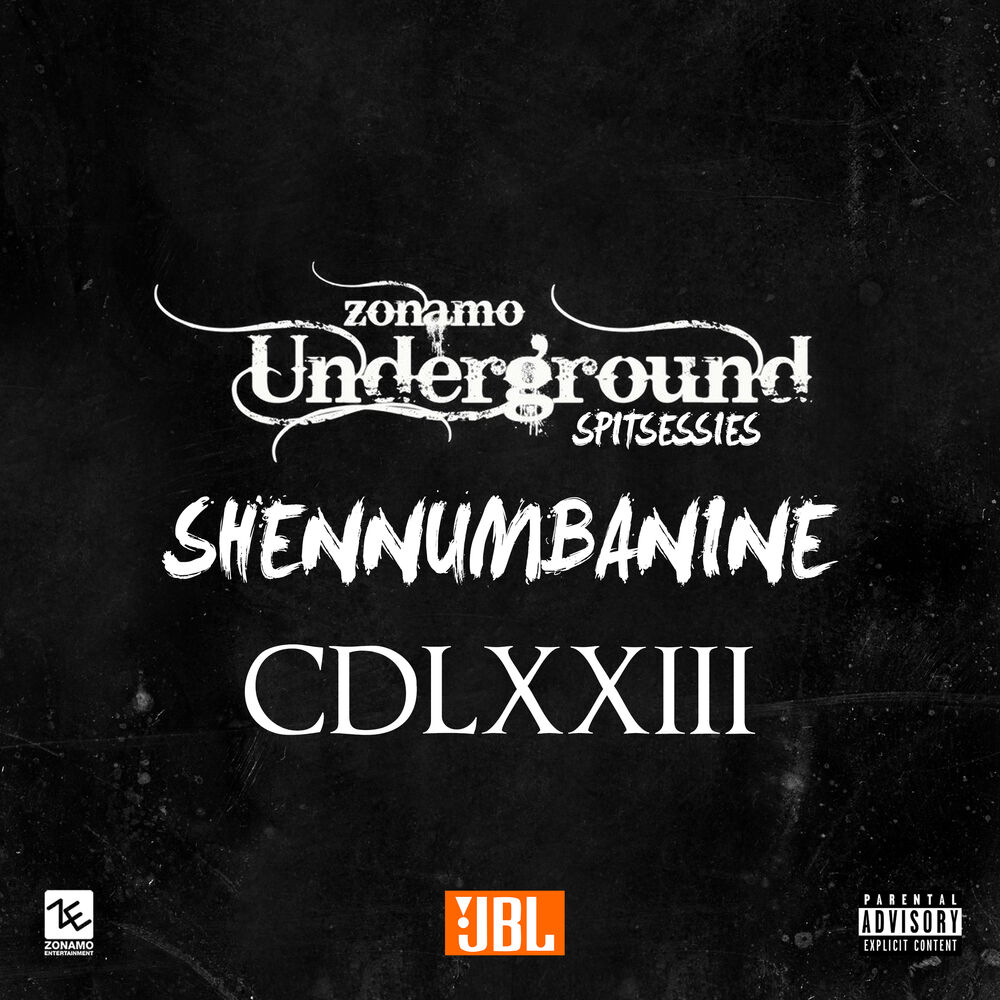 Picture of Spitsessie CDLXXIII Zonamo Underground