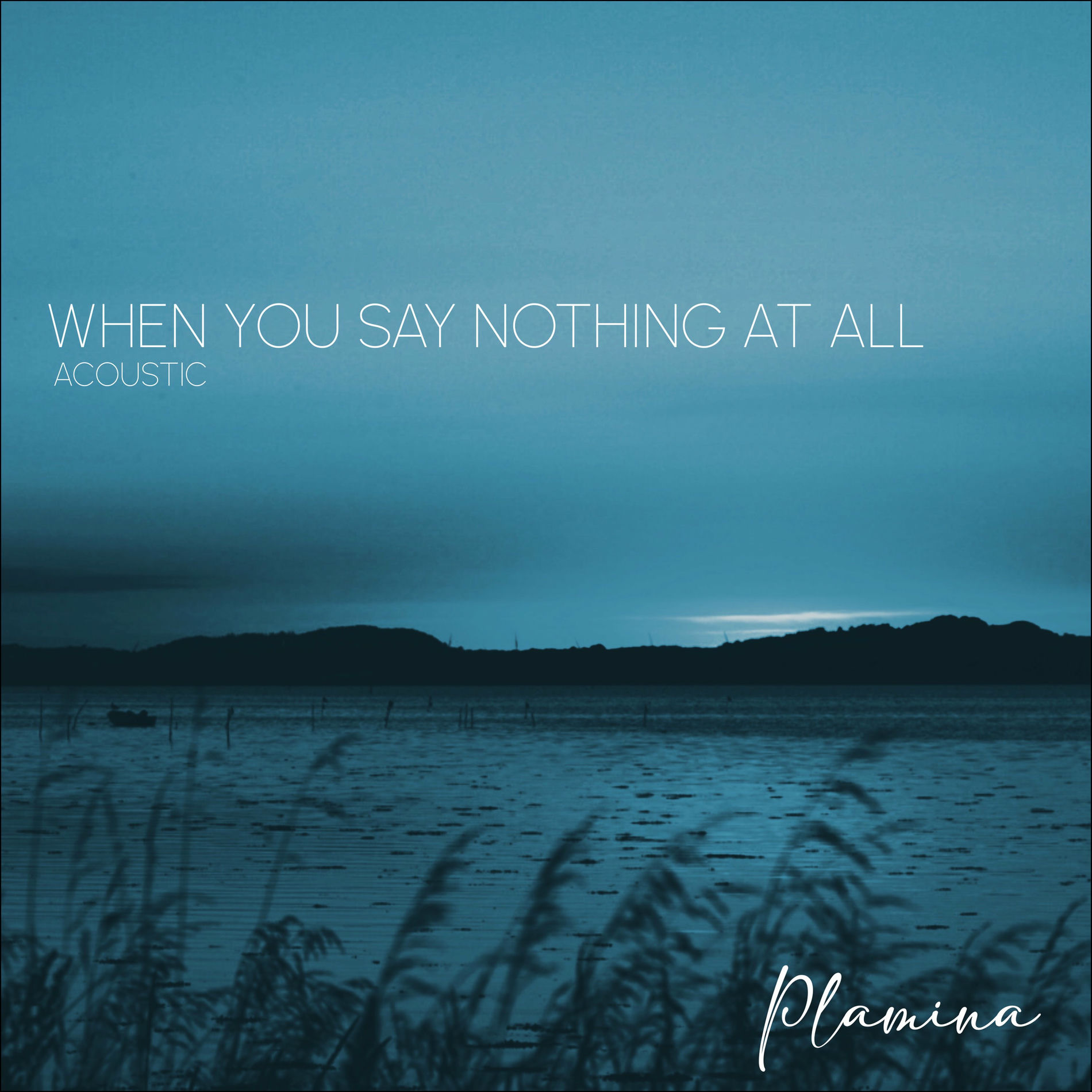 Album cover of When You Say Nothing At All (Acoustic)