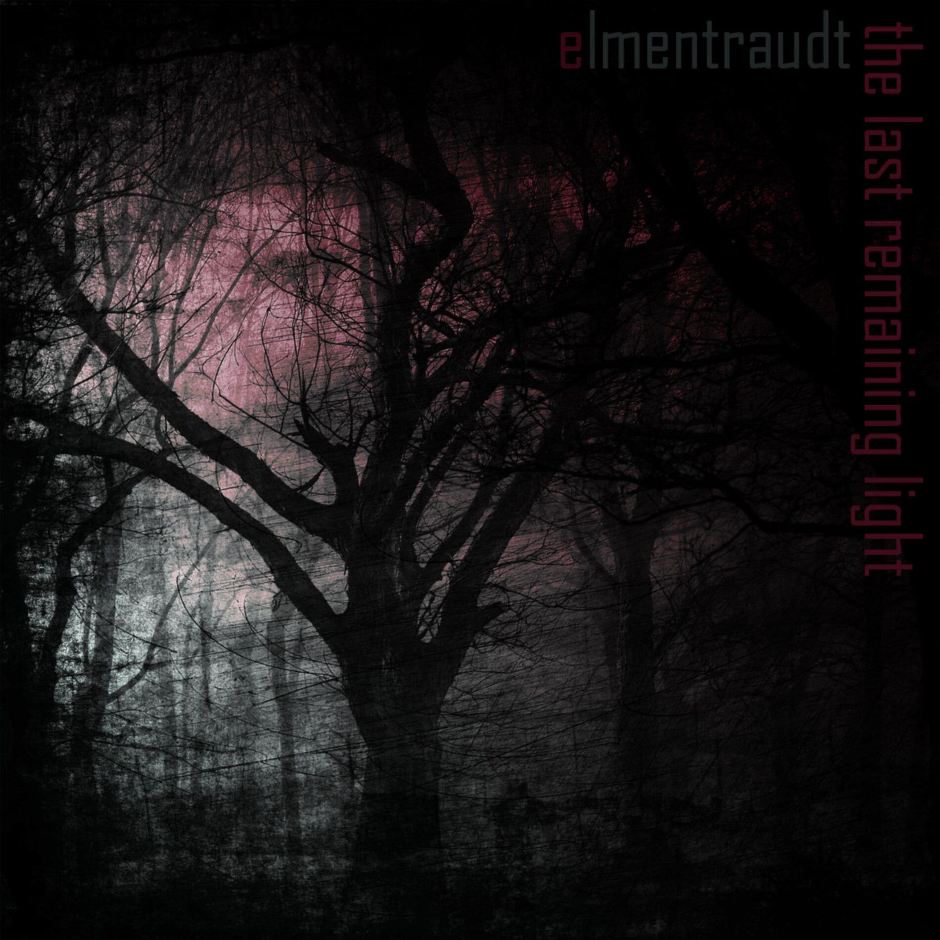 Album cover of The Last Remaining Light