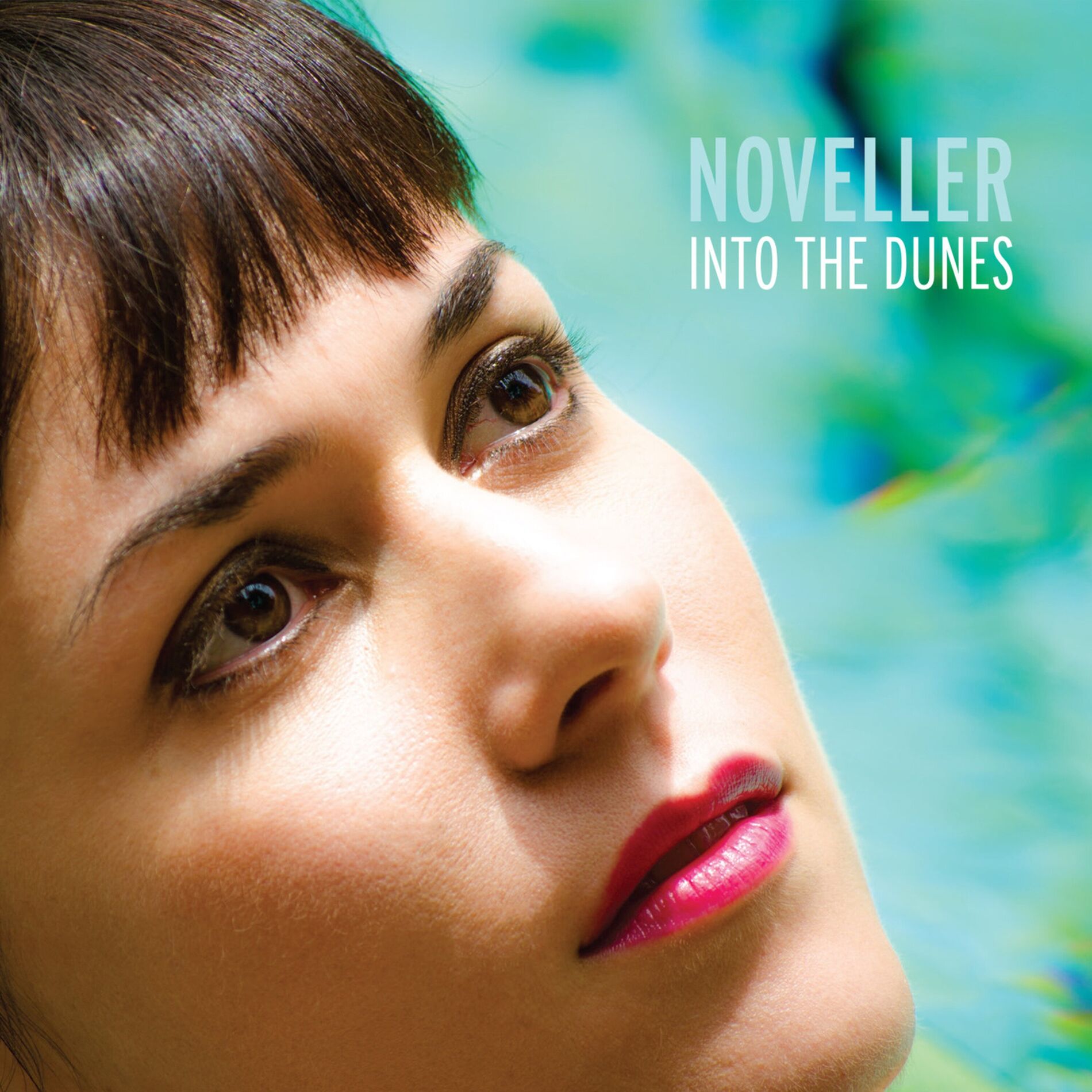 Album cover of Into the Dunes