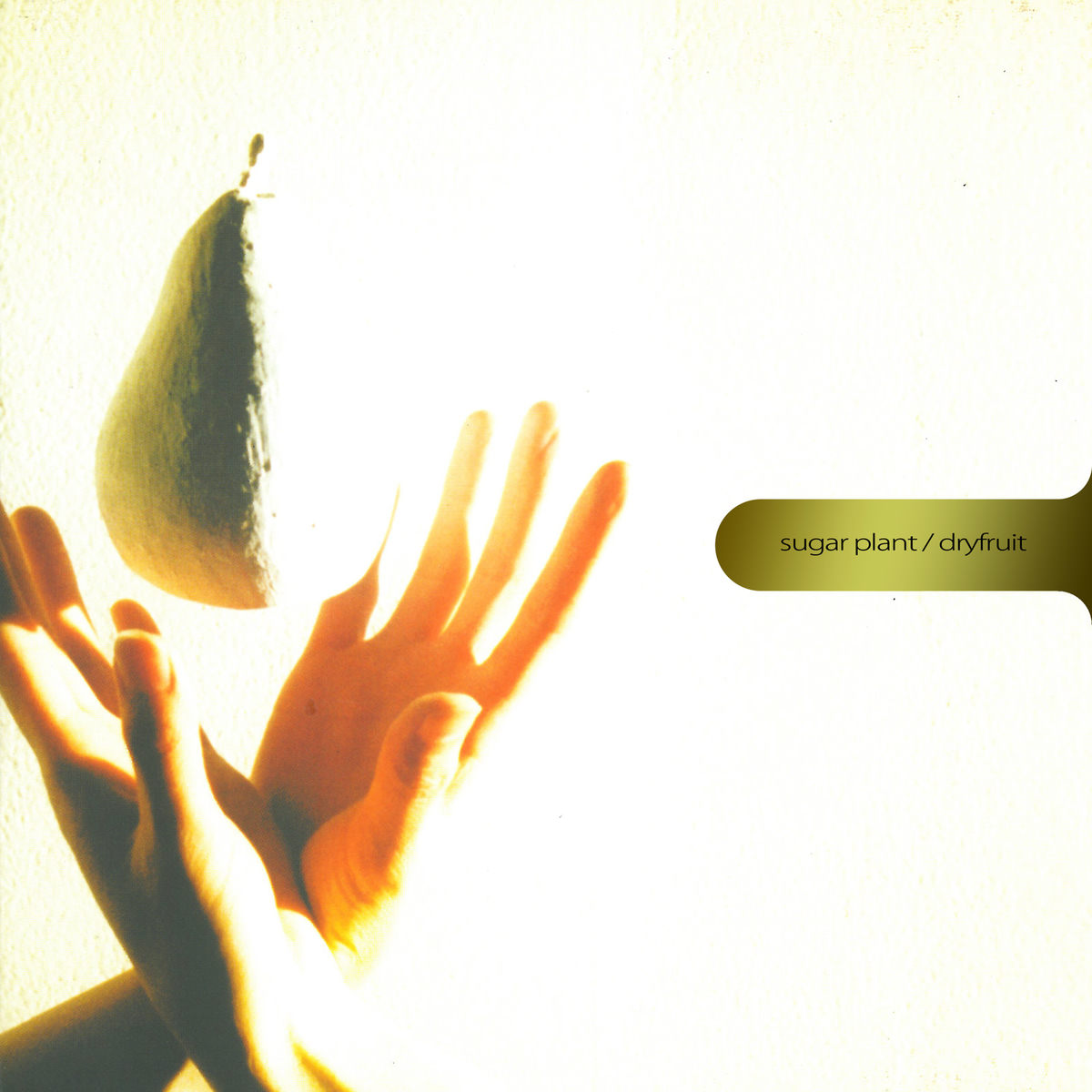 Sugar Plant - DRY FRUIT | Deezer