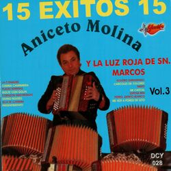 Cover of 15 Exitos Vol. 3