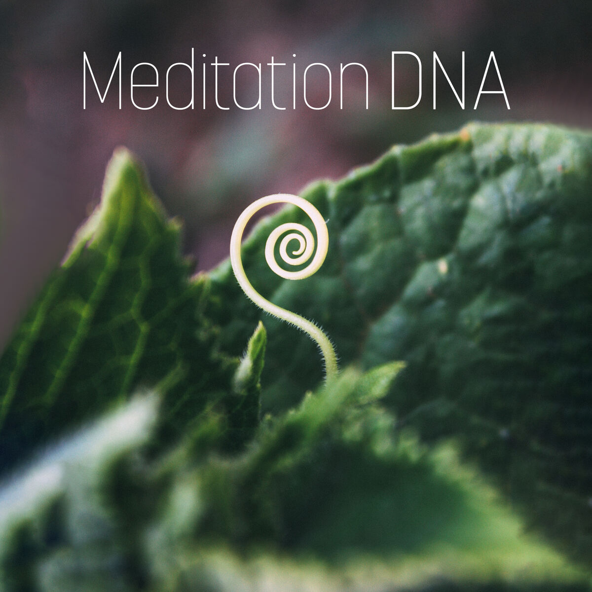 Album cover of Meditation DNA: Your Journey to Balance & Harmony, Soothing Sounds Effects, Mind Control