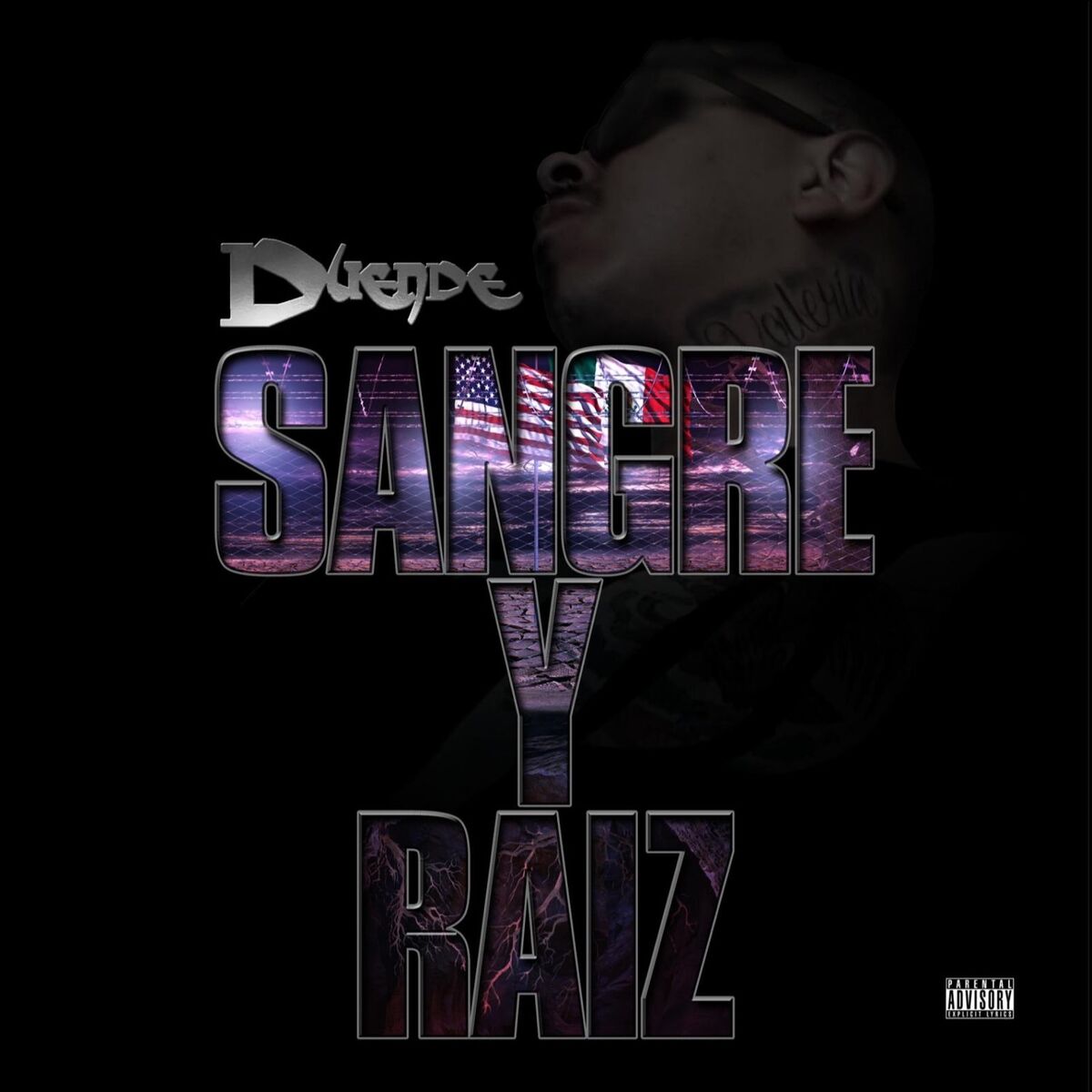 Album cover of Sangre Y Raiz