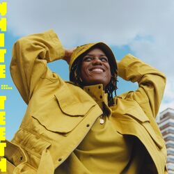 Cover of White Teeth