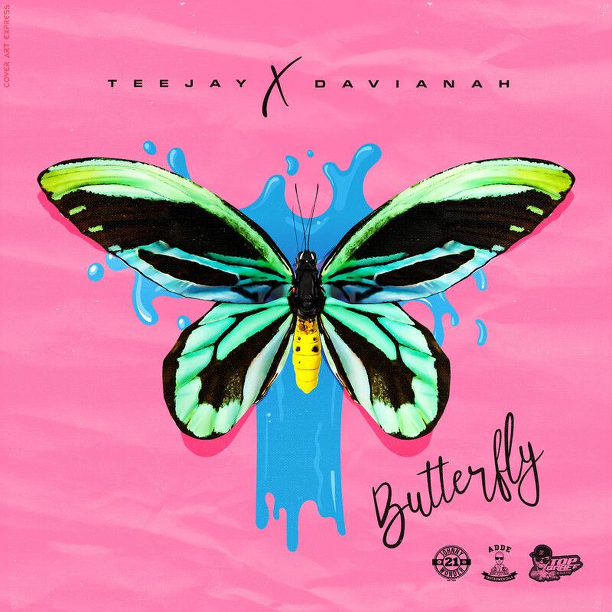 Album cover of Butterfly