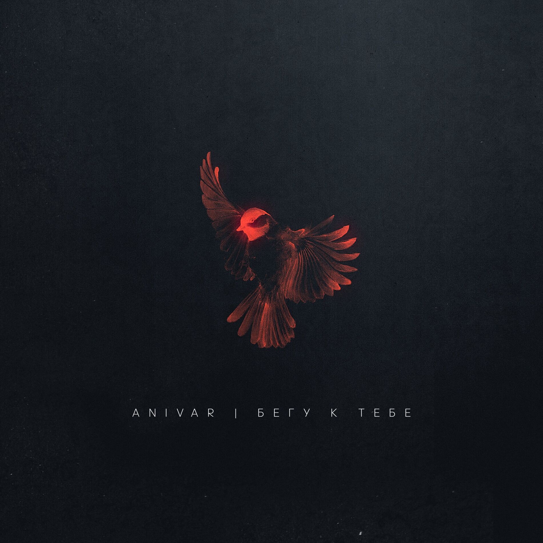 Album cover of Бегу к тебе