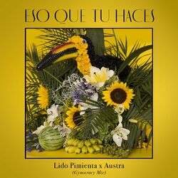 Cover of Eso Que Tu Haces (Austra's Gynocracy Mix)
