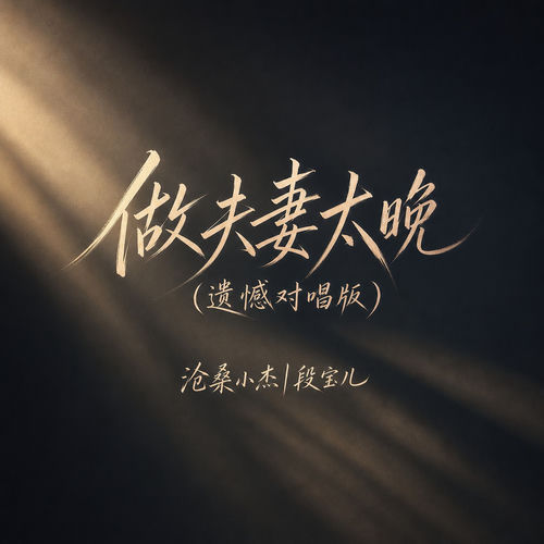 做夫妻太晚(遗憾对唱版)