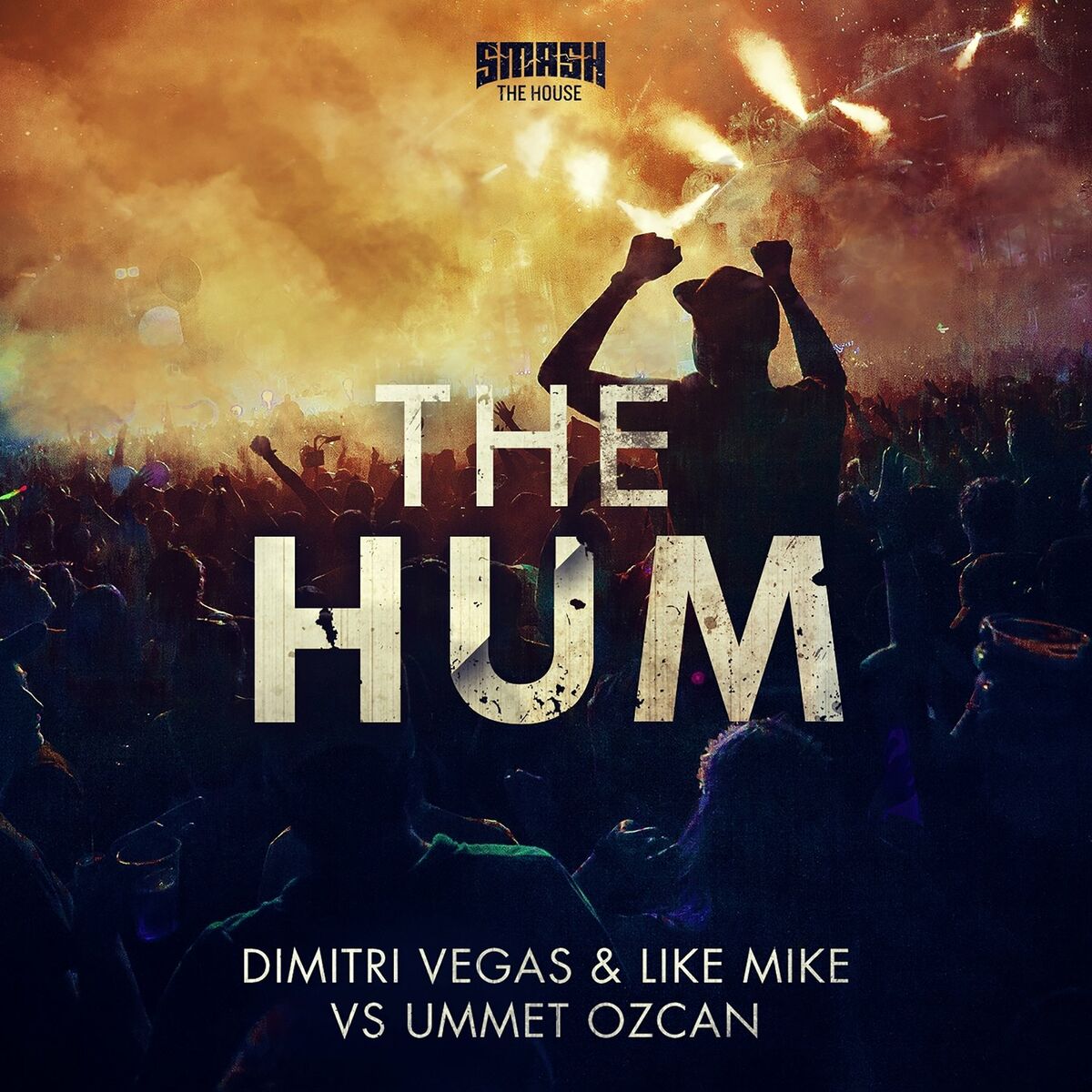 Album cover of The Hum