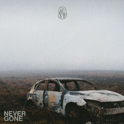 Cover of Never gone