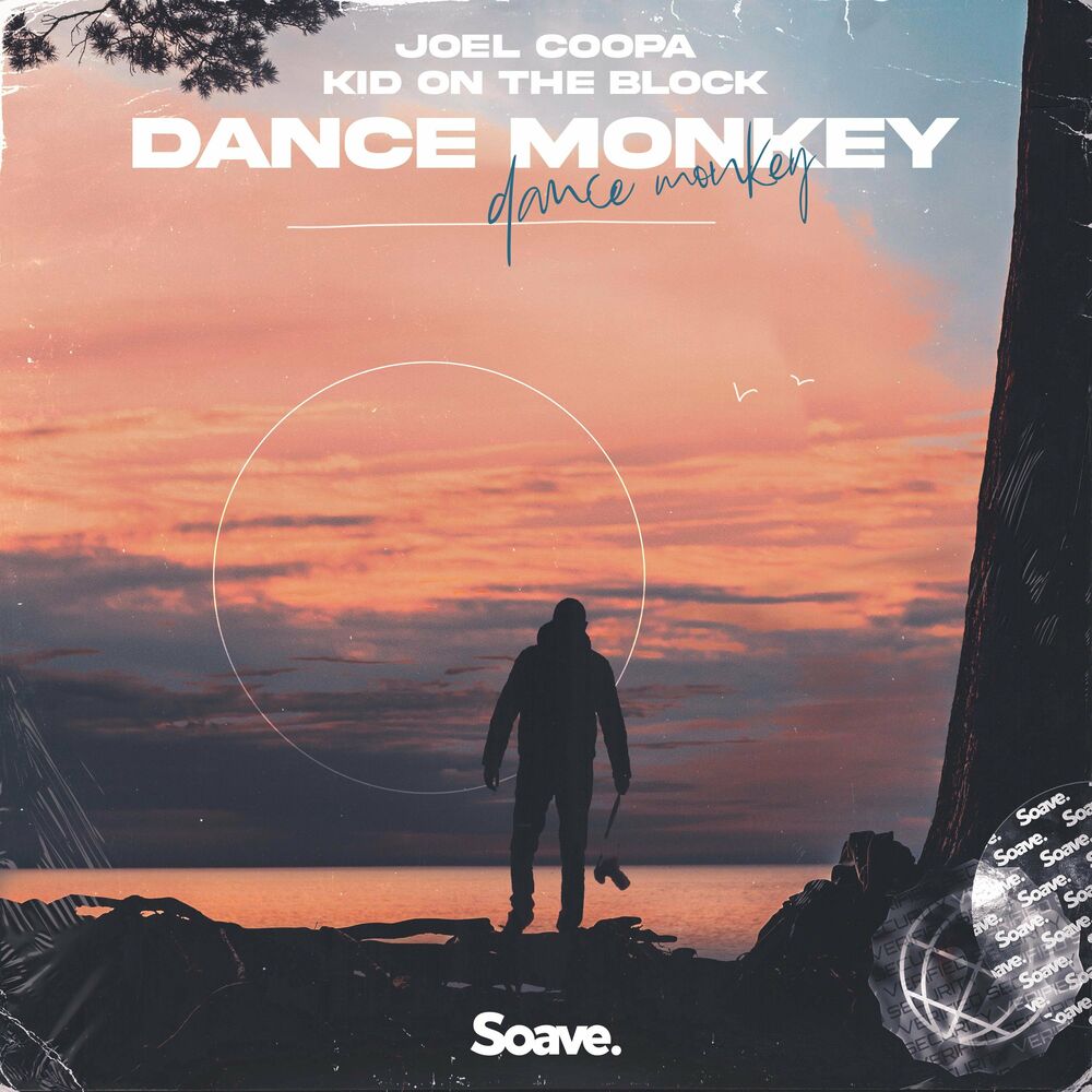 Picture of Dance Monkey