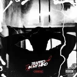 Cover of TRAPPED IN MY MIND