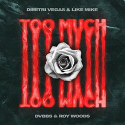 Cover of Too Much