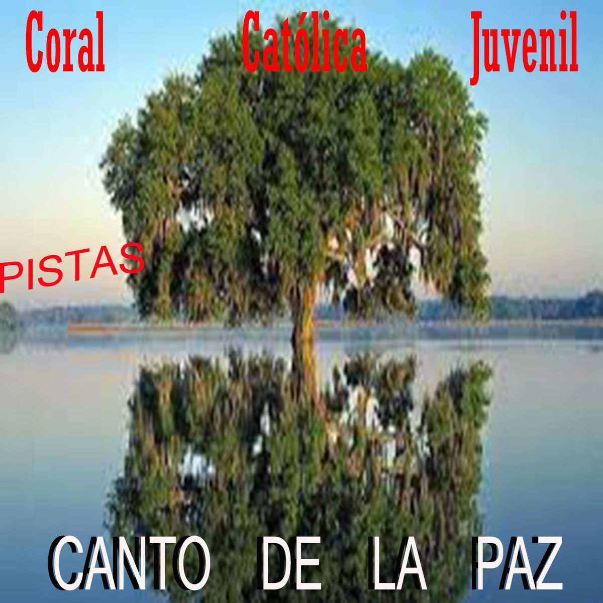 Album cover of Canto de la Paz