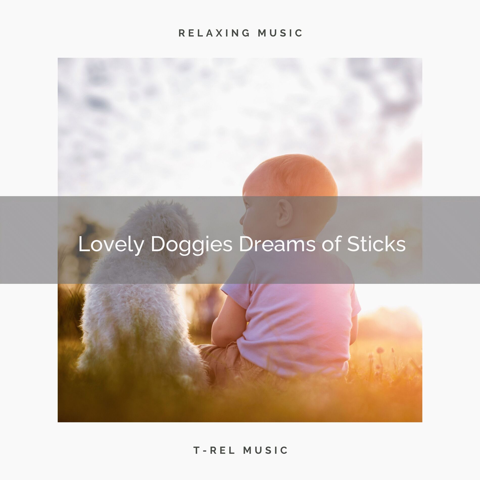 Album cover of 4 Lovely Doggies Dreams of Sticks