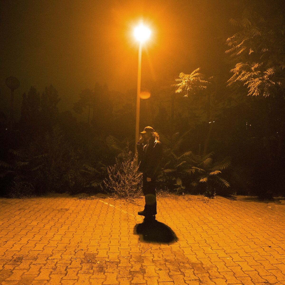 Album cover of Pass Nicht Ins Raster