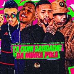 Cover of Ta Com Saudade da Minha Pika