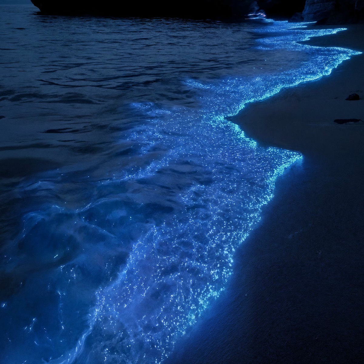 Album cover of damsay