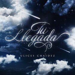 Cover of Tu Llegada