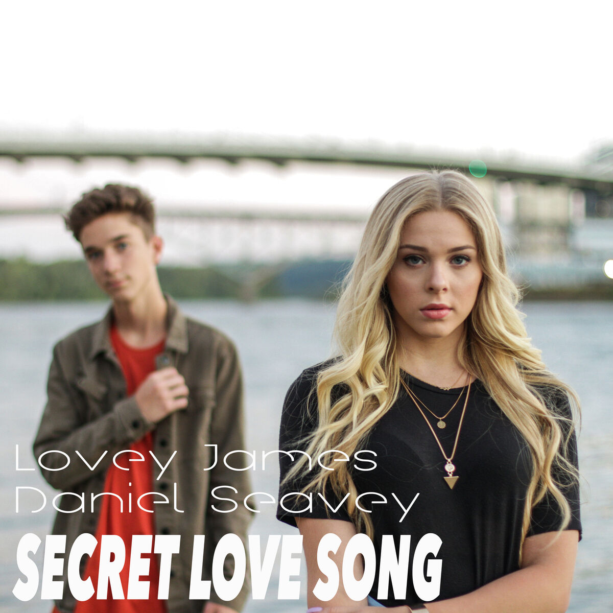 Album cover of Secret Love Song
