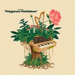 Cover of Polygonum Perfoliatum