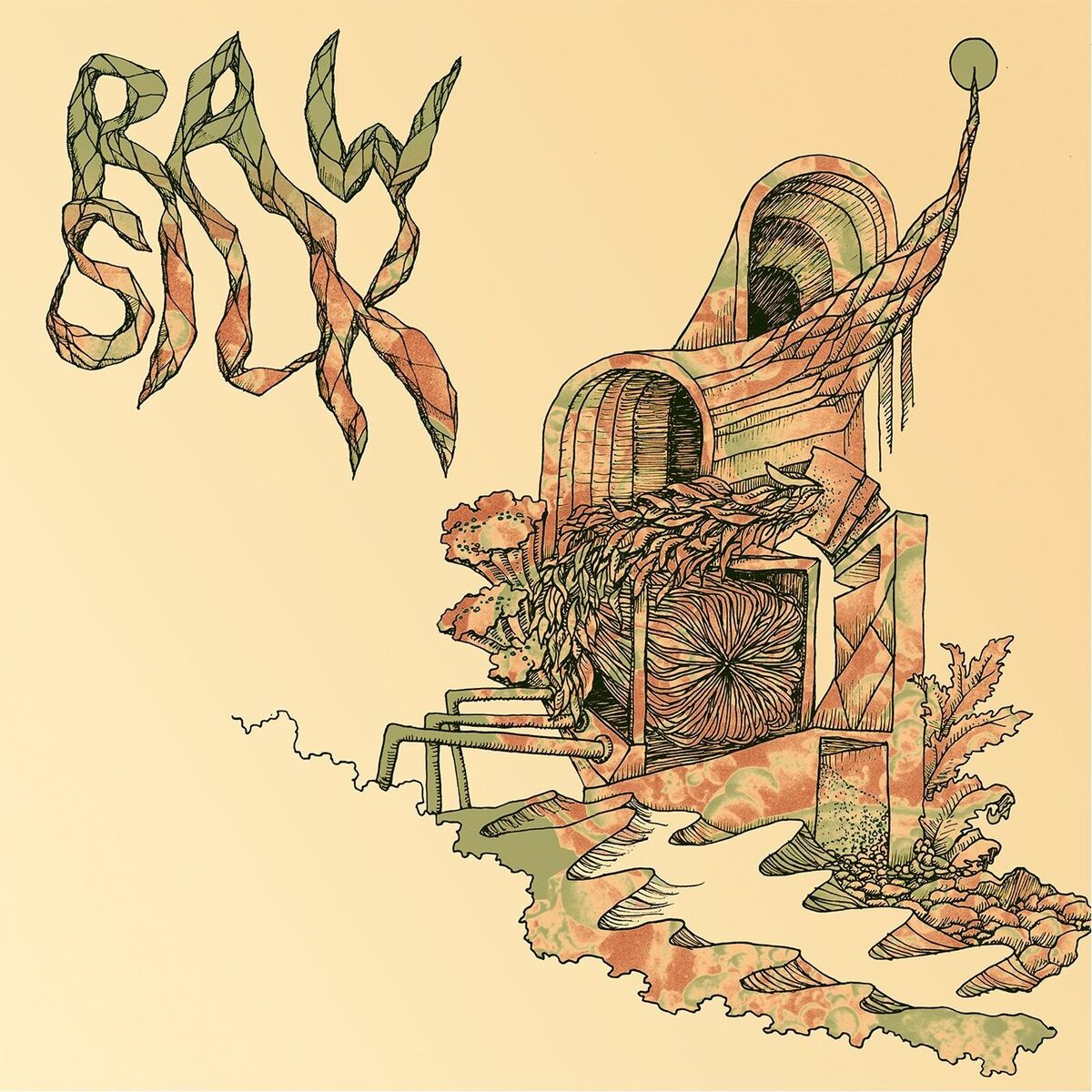 Album cover of Raw Silk