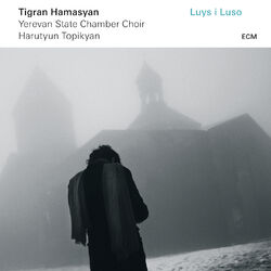 Cover of Luys I Luso