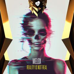 Cover of Reality Is Not Real