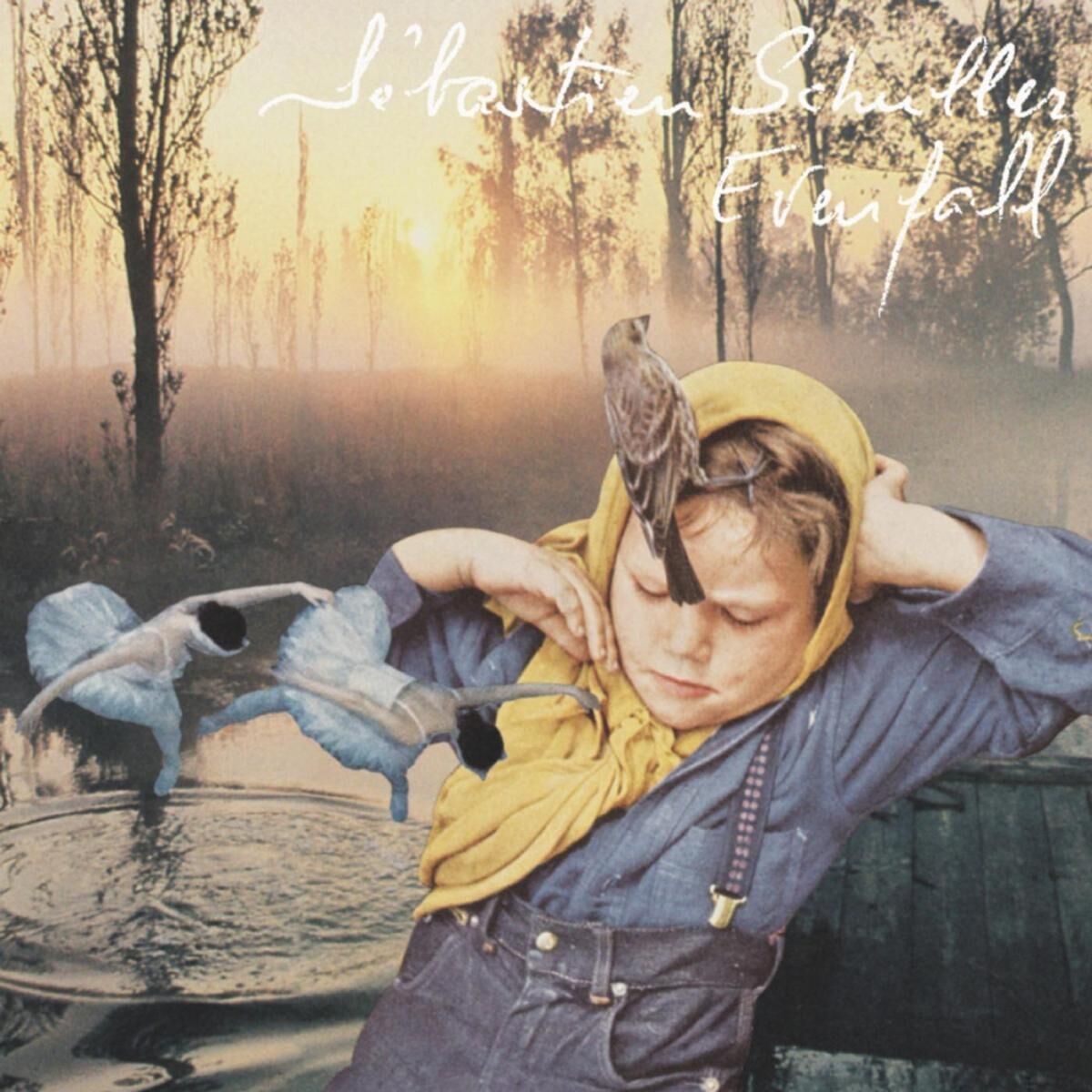 Album cover of Morning Mist