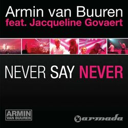 Cover of Never Say Never