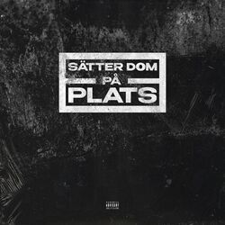 Cover of Sätter Dom På Plats