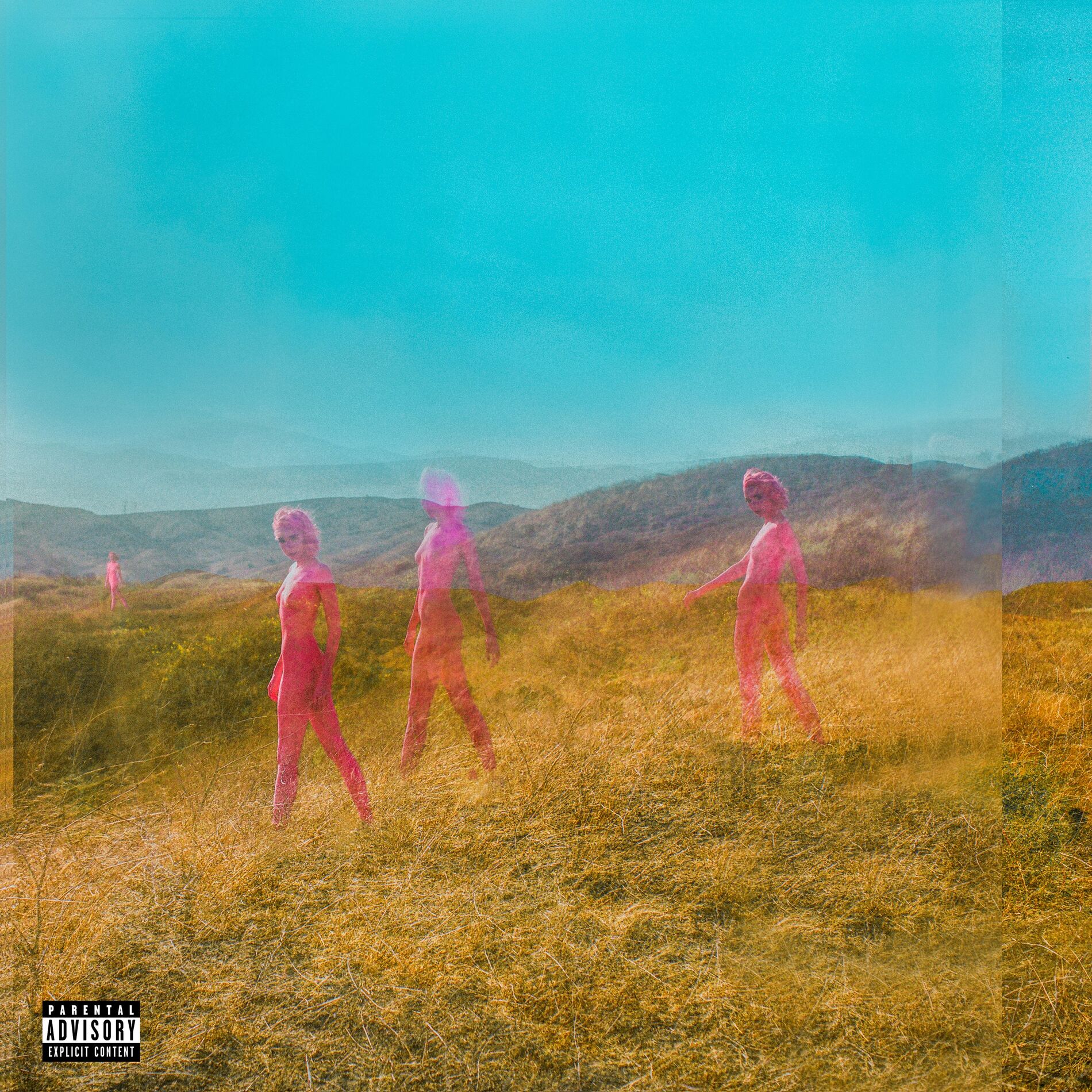 Album cover of Further Joy (Deluxe)