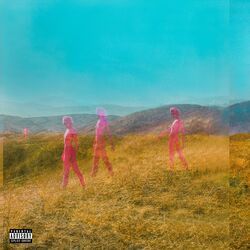 Cover of Further Joy (Deluxe)